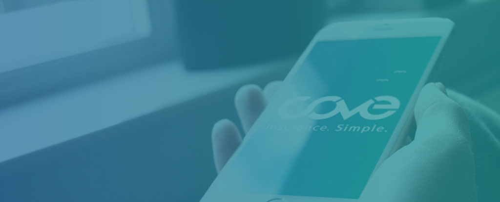 building a digital insurer