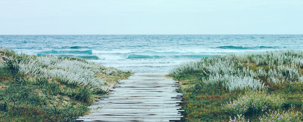 roadmap to simplicity