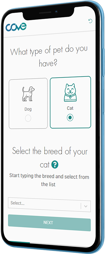 cat insurance